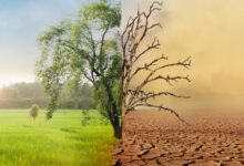 Photo of Clima, allarme di Copernicus: la soglia di 1.5°C è più vicina del previsto