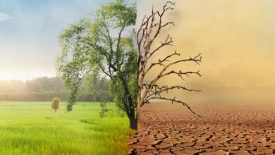 Photo of Clima, allarme di Copernicus: la soglia di 1.5°C è più vicina del previsto