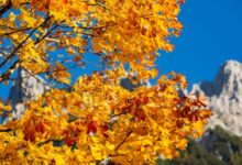 Photo of In ottobre clima fresco e secco in Italia, con importanti eccezioni