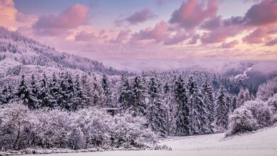 Photo of Inverno meteo al via lunedì 1 dicembre: le cose da sapere