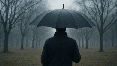 Photo of Meteo, ponte dell’Immacolata a rischio pioggia: ecco dove