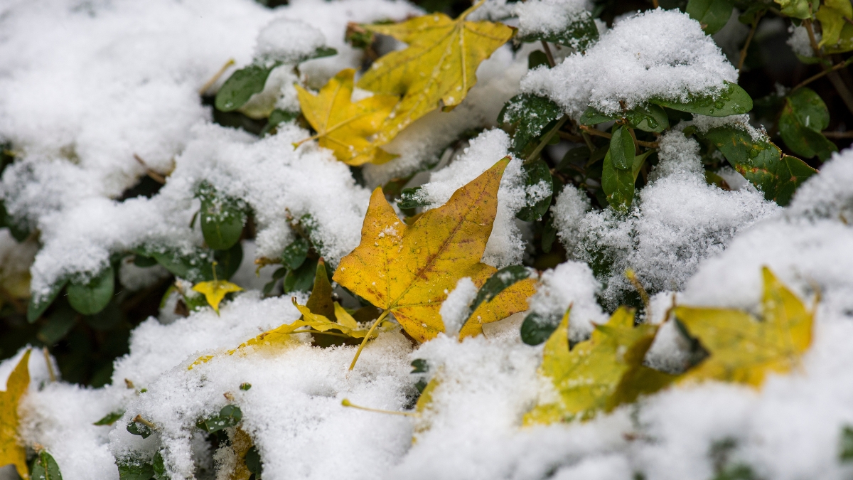 meteo prima neve autunno freddo domani