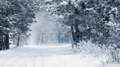 Photo of Dove arriverà la neve? Le previsioni nei dettagli