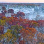 ondata di freddo usa