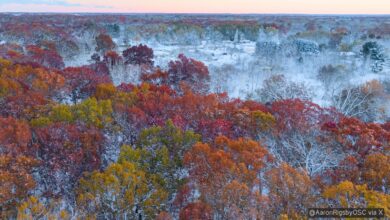 Photo of Ondata di freddo negli Stati Uniti: neve e gelo, possibili nuovi record