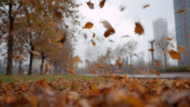 Photo of Previsioni meteo: oggi stabile, poi torna la pioggia