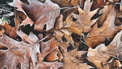 Photo of Previsioni meteo domani: ancora neve e maltempo al Centro-Sud! Le previsioni