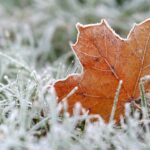 previsioni meteo freddo