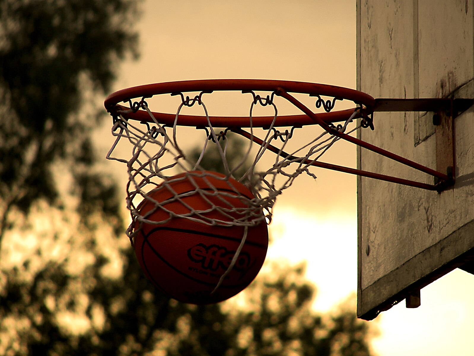 Basket_Credits-MarcoCrupi_Wikipedia-Creative-Commons