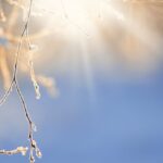 previsioni meteo oggi