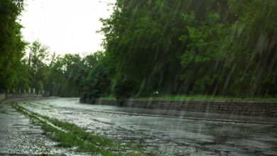 Photo of Un nubifragio ha colpito l’Isola d’Elba: frane e allagamenti ovunque