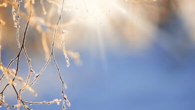 Photo of Previsioni meteo Italia oggi: sole e stabilità su tutta la Penisola