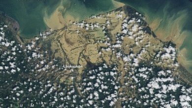 Photo of Disastro epocale nel Sud-est asiatico: Indonesia e Sri Lanka contano oltre 1.500 vittime