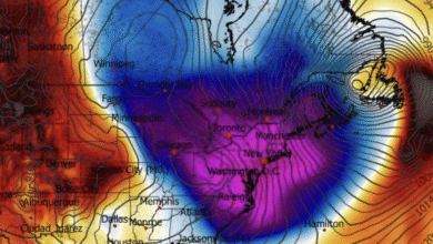 Photo of Usa alle prese con un’ondata di freddo artico: milioni di persone coinvolte