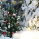 previsioni meteo natale neve capodanno