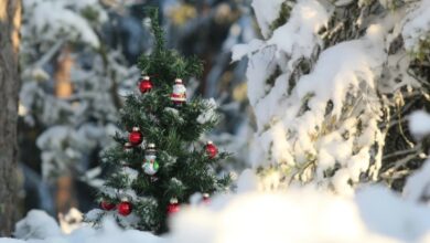 Photo of Previsioni neve: fiocchi in arrivo verso Natale? Gli aggiornamenti