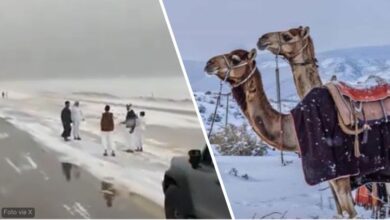 Photo of Neve nel deserto saudita: imbiancate le montagne, freddo fino a Riad