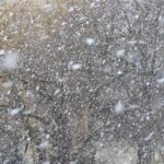 bufera neve previsioni meteo