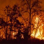incendi australia