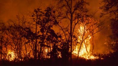 Photo of Incendi in Australia, “pericolo catastrofico” per il caldo estremo