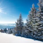 meteo domani sole inverno neve