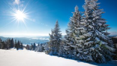 Photo of Domani stop al freddo, temperature in aumento