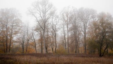 Photo of Meteo domani: mercoledì tra nubi e poche piogge