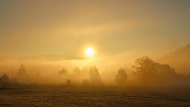 Photo of Previsioni meteo Italia oggi 14 gennaio: sole al Sud, nubi al Nord