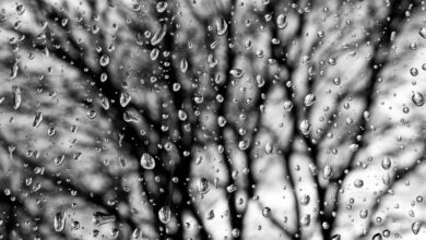 Photo of Previsioni meteo domenica 15 febbraio: sole al Nord, piogge e vento al Sud