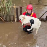 sardegna tempesta Harry