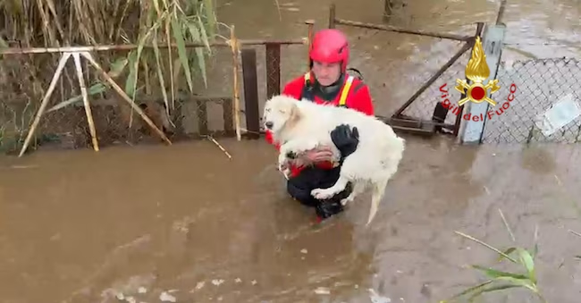sardegna tempesta Harry