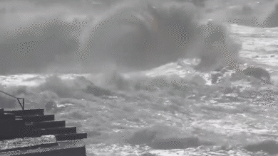 Photo of Danni del maltempo al Sud Italia: esondazioni, venti e soccorsi urgenti