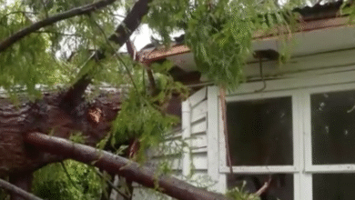 Photo of Maltempo in Nuova Zelanda: tempesta flagella l’Isola del Nord con blackout e caos