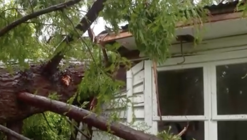 maltempo Nuova Zelanda