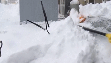Photo of Nevicata storica in Giappone: record di 167 cm ad Aomori a gennaio