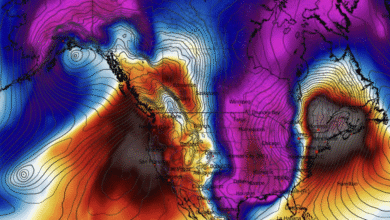 Photo of Usa, Michigan in pieno inverno con gelo e neve, 37°C in California