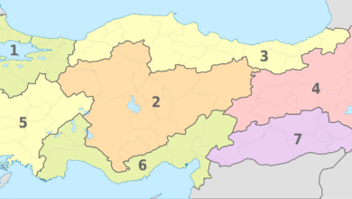 Photo of Missile verso la Turchia: la Nato condanna gli attacchi dell’Iran