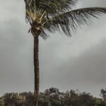 maltempo Haiti