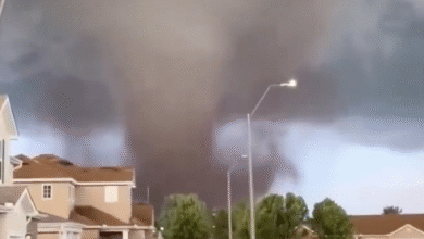 Photo of Tornado EF-4 in Oklahoma: danni gravi e case rase al suolo
