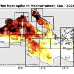 mediterraneo