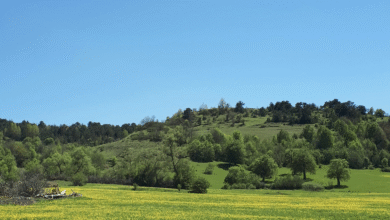Photo of Previsioni meteo domenica 3 maggio: bel tempo con nuvole al Centro-Nord