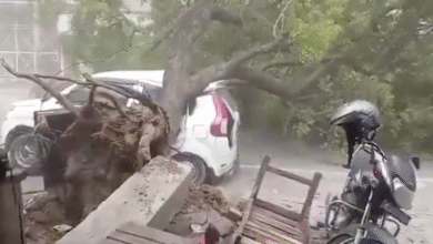 Photo of Uttar Pradesh: almeno 45 vittime per fulmini e piogge torrenziali