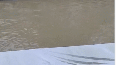 Photo of Alluvioni in Cina: almeno 18 vittime e migliaia di evacuati