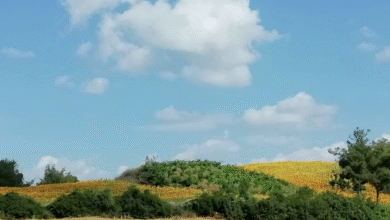 Photo of Venerdì 22 maggio, alta pressione in rinforzo: sole e caldo in aumento
