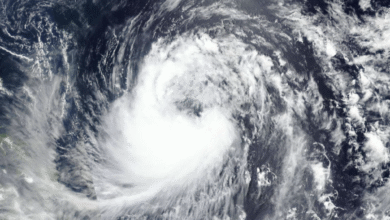 Photo of Il tifone Jangmi in rafforzamento verso il Giappone meridionale: i dettagli