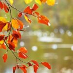 settembre previsioni meteo