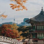caldo corea del sud