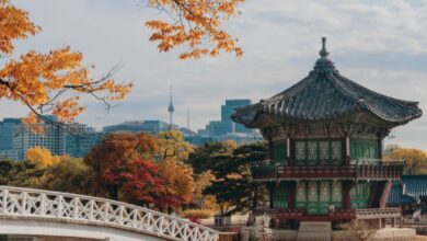 Photo of Corea del Sud, caldo storico: Yangsan tocca i 42,5 gradi ed è record nazionale