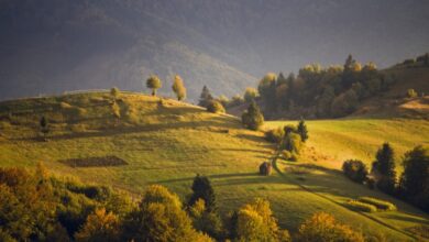 Photo of Meteo domani: domenica migliora il tempo, ma al Sud resistono le ultime piogge