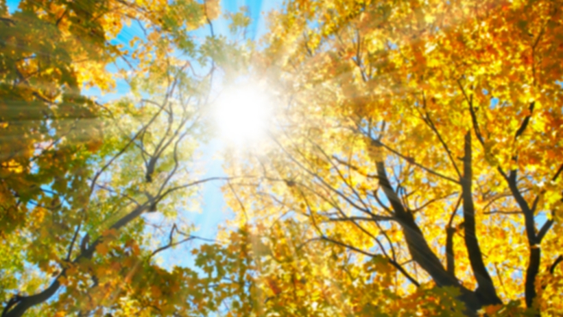 tendenza meteo prossimi giorni anticiclone delle azzorre autunno